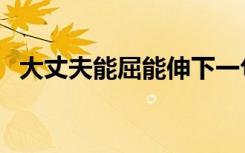 大丈夫能屈能伸下一句（大丈夫能屈能伸）