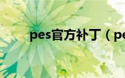 pes官方补丁（pes2009中文补丁）