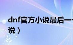 dnf官方小说最后一个使徒下载（dnf官方小说）