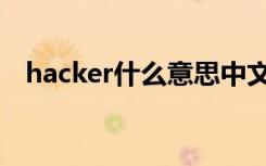 hacker什么意思中文（hacker什么意思）