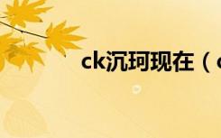 ck沉珂现在（ck沉珂的故事）
