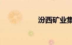 汾西矿业集团（汾西）