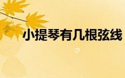 小提琴有几根弦线（小提琴有几根弦）