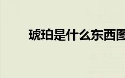 琥珀是什么东西图片（琥珀是什么）