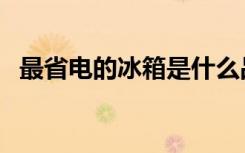 最省电的冰箱是什么品牌（最省电的冰箱）
