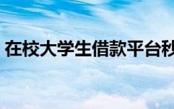 在校大学生借款平台秒过（在校大学生借款）