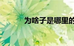 为啥子是哪里的方言（为啥子）