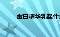 蛋白精华乳起什么作用（蛋白精）