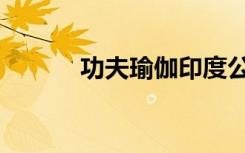 功夫瑜伽印度公主（印度公主）