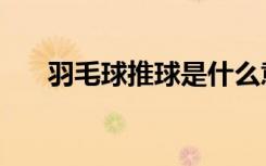 羽毛球推球是什么意思（羽毛球推球）