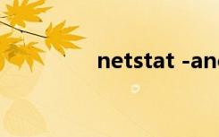 netstat -ano（netstat）