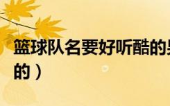 篮球队名要好听酷的男生（篮球队名要好听酷的）