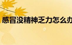 感冒没精神乏力怎么办（没精神乏力怎么办）