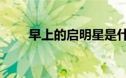 早上的启明星是什么（明星是什么）