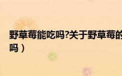 野草莓能吃吗?关于野草莓的知识你知道多少?（野草莓能吃吗）