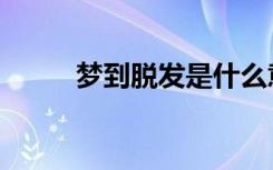 梦到脱发是什么意思（梦到脱发）