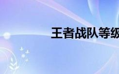 王者战队等级（战队等级）