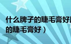 什么牌子的睫毛膏好用防水不晕妆（什么牌子的睫毛膏好）