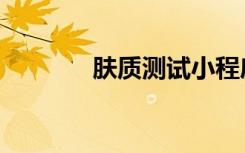 肤质测试小程序（肤质测试）