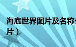 海底世界图片及名称介绍（海底世界资料和图片）