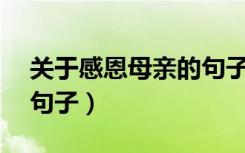 关于感恩母亲的句子50字（关于感恩母亲的句子）