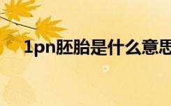 1pn胚胎是什么意思（胚胎是什么意思）