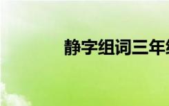 静字组词三年级（静字组词）