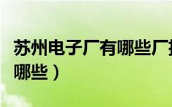 苏州电子厂有哪些厂招暑假工（苏州电子厂有哪些）