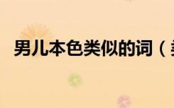 男儿本色类似的词（类似男儿本色的电影）