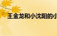 王金龙和小沈阳的小品（小沈阳的小品）