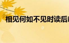 相见何如不见时读后感（相见何如不见时）