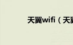 天翼wifi（天翼3g无线上网）