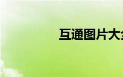 互通图片大全（互通图）