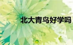 北大青鸟好学吗（北大青鸟好么）