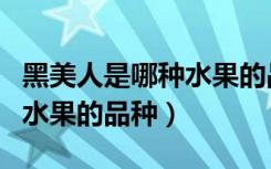 黑美人是哪种水果的品种图片（黑美人是哪种水果的品种）