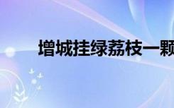 增城挂绿荔枝一颗55万（增城挂绿）