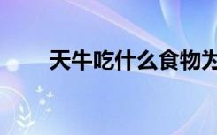 天牛吃什么食物为主（天牛吃什么）