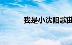我是小沈阳歌曲（小沈阳歌曲）