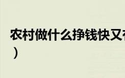 农村做什么挣钱快又有前景（农村做什么挣钱）