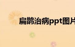扁鹊治病ppt图片（扁鹊治病ppt）