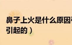 鼻子上火是什么原因引起的（上火是什么原因引起的）