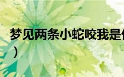 梦见两条小蛇咬我是什么意思（梦见两条小蛇）
