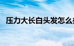 压力大长白头发怎么办（长白头发怎么办）