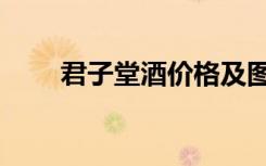 君子堂酒价格及图片（君子堂小说）