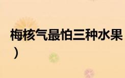 梅核气最怕三种水果（梅核气和慢性咽炎区别）