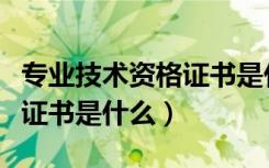 专业技术资格证书是什么证件（专业技术资格证书是什么）