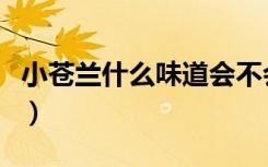 小苍兰什么味道会不会太香（小苍兰什么味道）