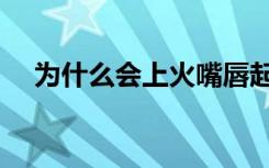 为什么会上火嘴唇起泡（为什么会上火）