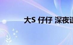 大S 仔仔 深夜谈心（大s 仔仔）