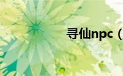 寻仙npc（寻仙达人）